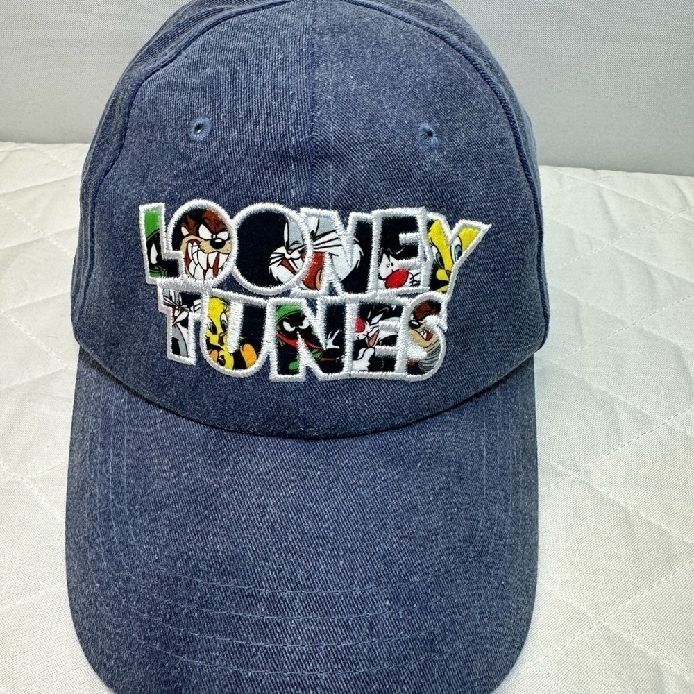 Looney Tunes Cap Hat Embroidered Six Flags Blue Adjustable Snap Cotton Canvas